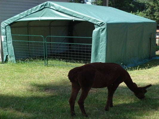 12'W X 12'L X 8'H - Animal Shelter